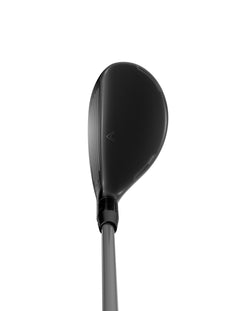 Quantum Max Hybrid