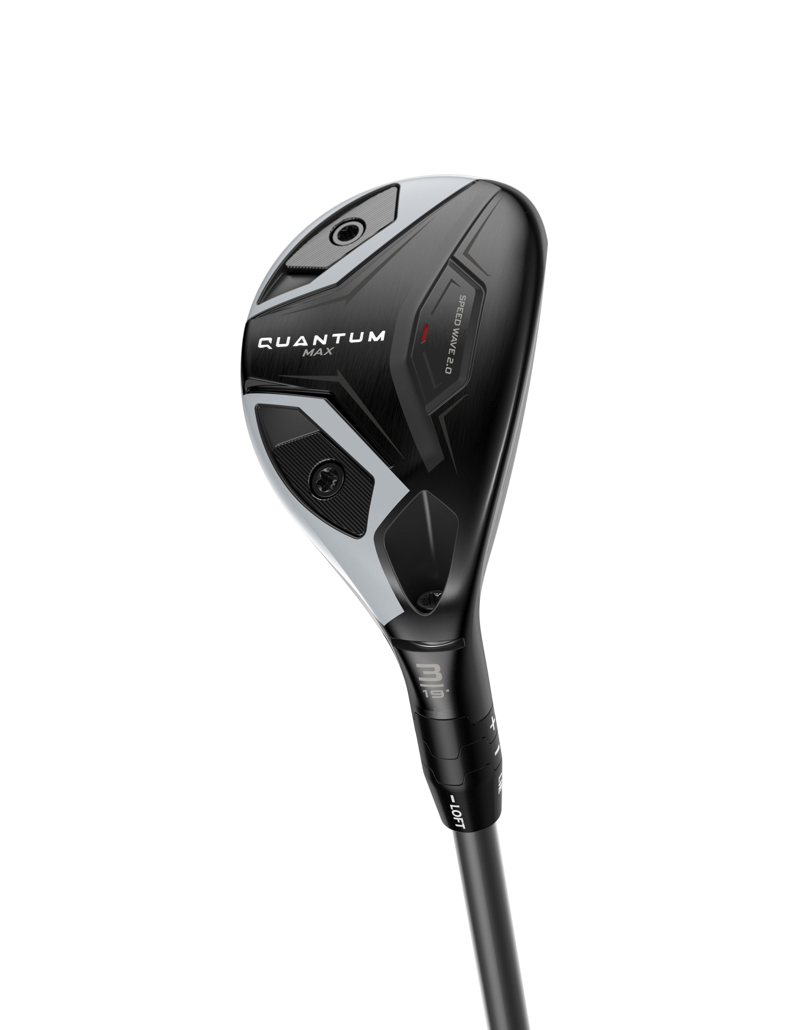 Quantum Max Hybrid
