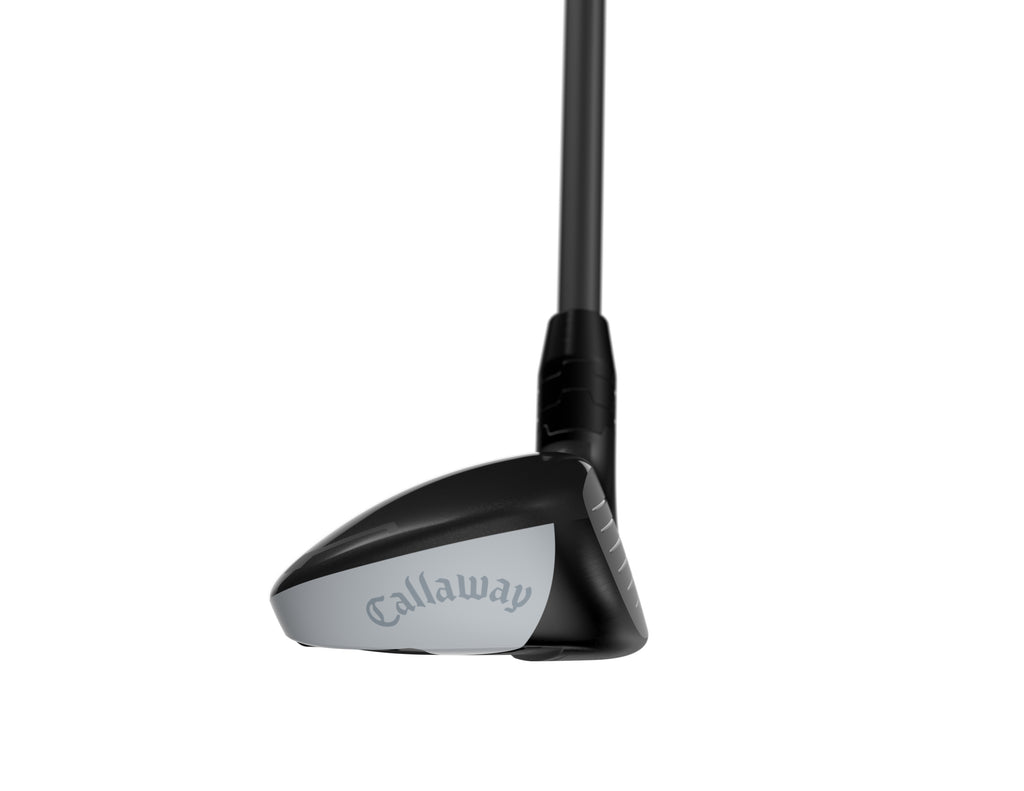 Quantum Max Hybrid