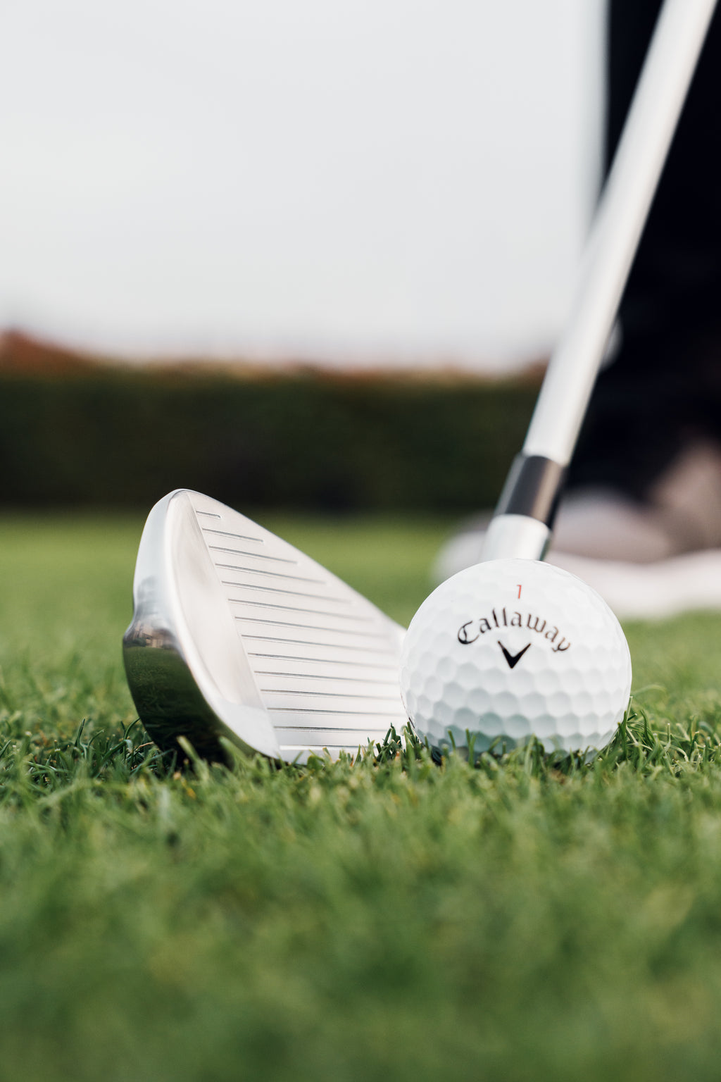Quantum Max Fast 5-PW AW Iron Set with Graphite Shafts